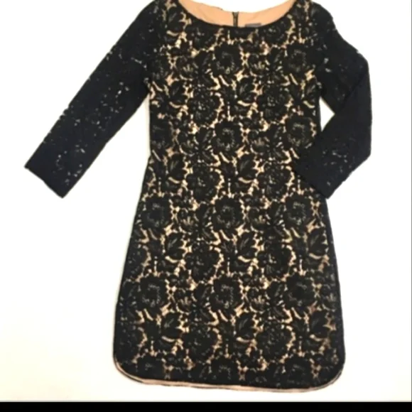 chinese dress ladies Vince Camuto Women's Dress,Rose,2 at Amazon Women's Clothing store